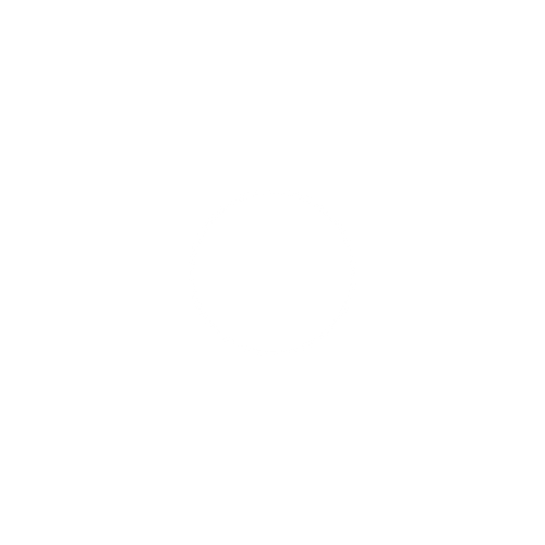 Scribbly Critters Co.